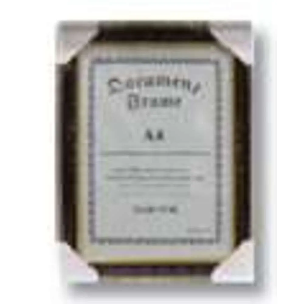 Document Frame A4 #958