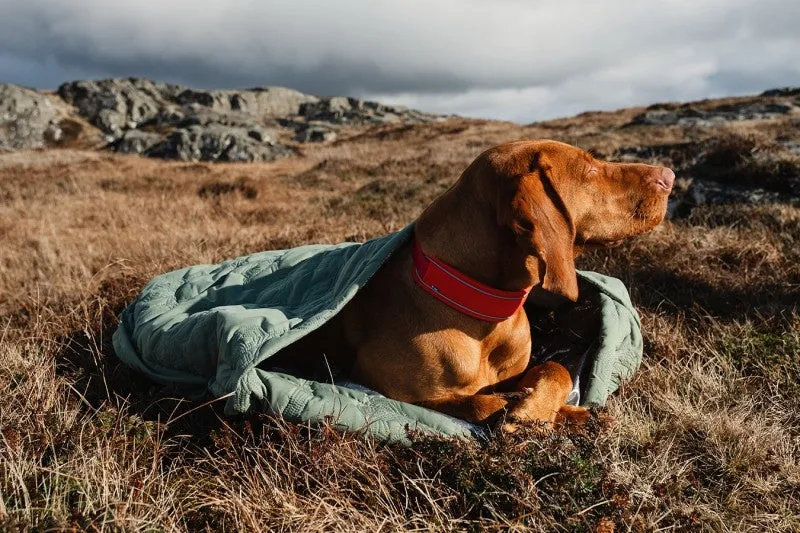 ECO Outback Dreamer Camp Bed | Hedge