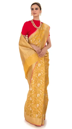 Regal Golden Weave Tissue Kota Saree